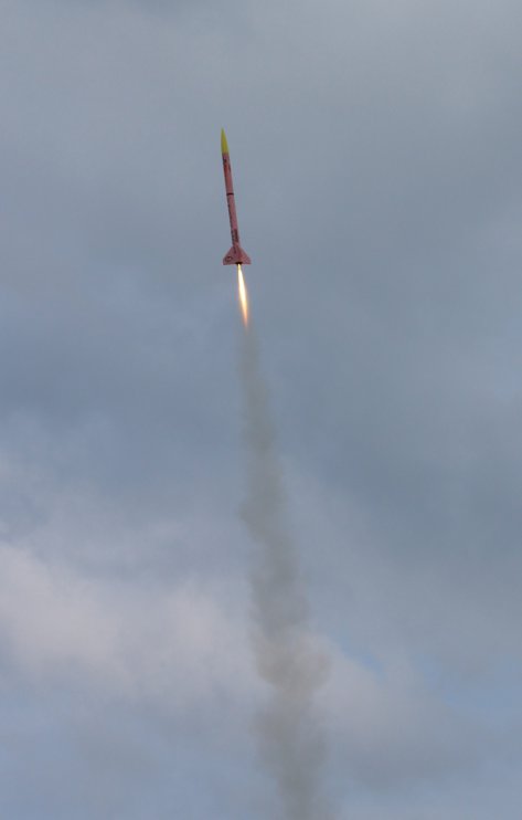 img_8155 ruzovy panter -let 800 ns w